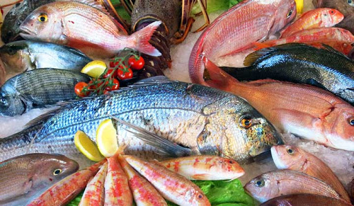 حمایت دولت از صنایع تولید ماهی و فرآوری محصولات دریایی
