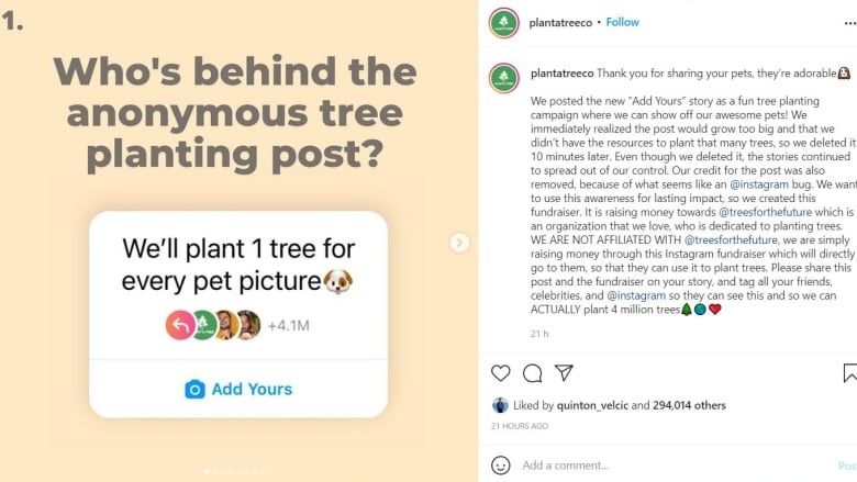 آیا بابت هر عکس از حیوانات خانگی در اینستاگرام یک درخت کاشته می شود؟